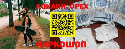ПСИЛОЦИБИНОВЫЕ ГРИБЫ Новозыбков