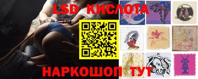 МДПВ Новодвинск