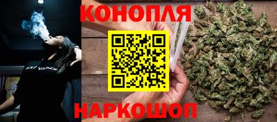 МДПВ Новодвинск