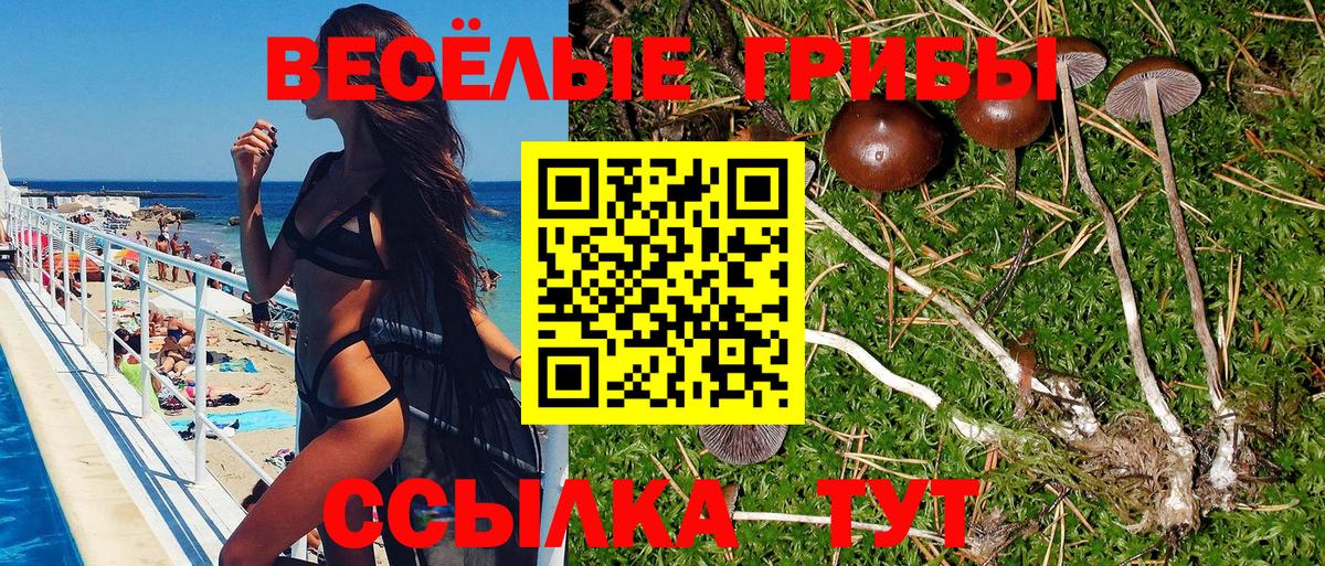 Галлюциногенные грибы Psilocybine cubensis Троицк